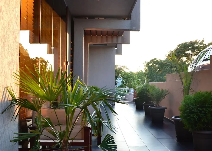 Design Logatero Sozopol